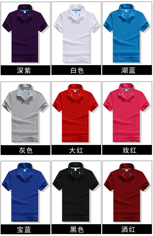 ̫ԭ��ŵ��POLO������